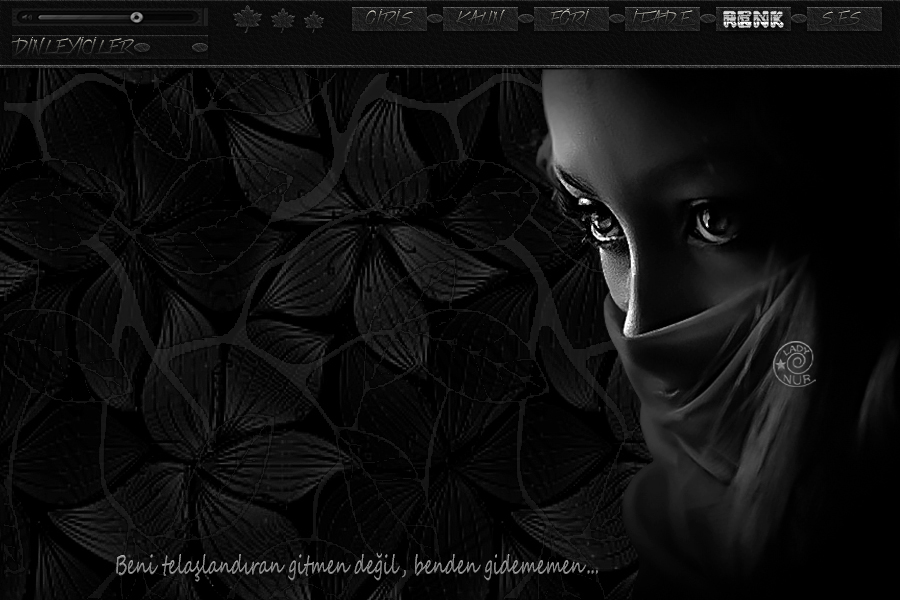 ladynur-bendengitmenb1jv6.jpg