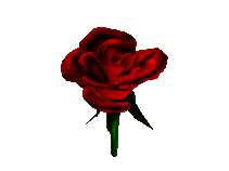 478ff51485kh7.gif