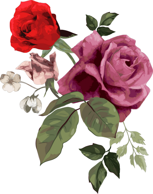 cicek-png-resimleri-18.png