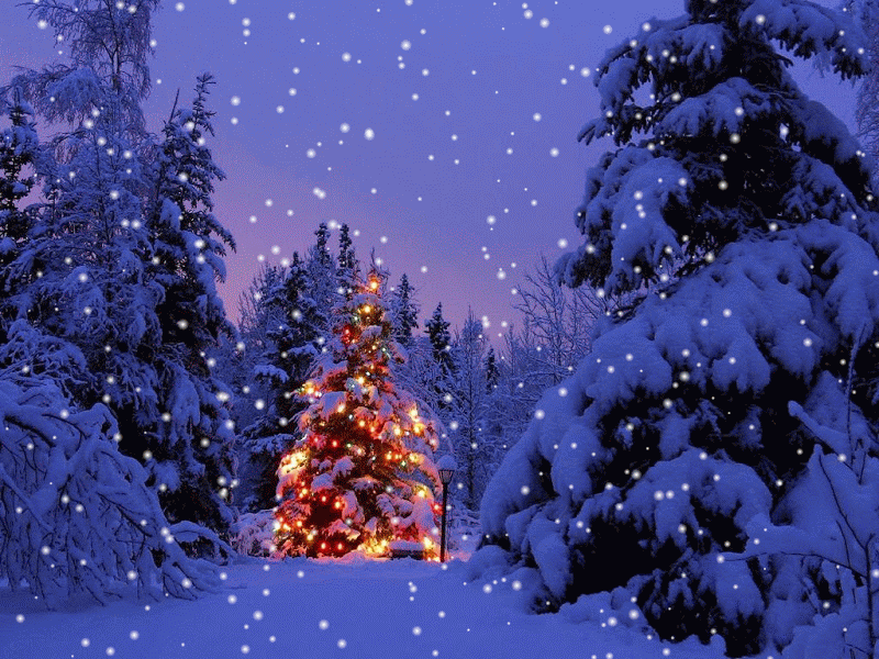 christmas-tree-outsid4jukw.gif