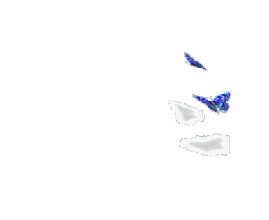 12207418chsum.gif