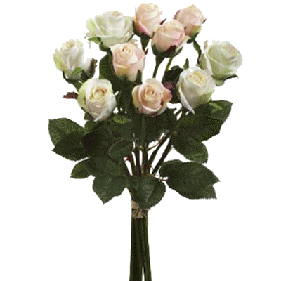 temalik-png-beyaz-gul-resimleri-7.png