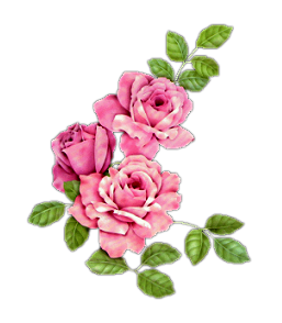 cok-guzel-png-gul-ve-cicek-resimleri-3.png