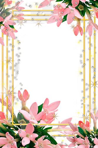 frame_56.png