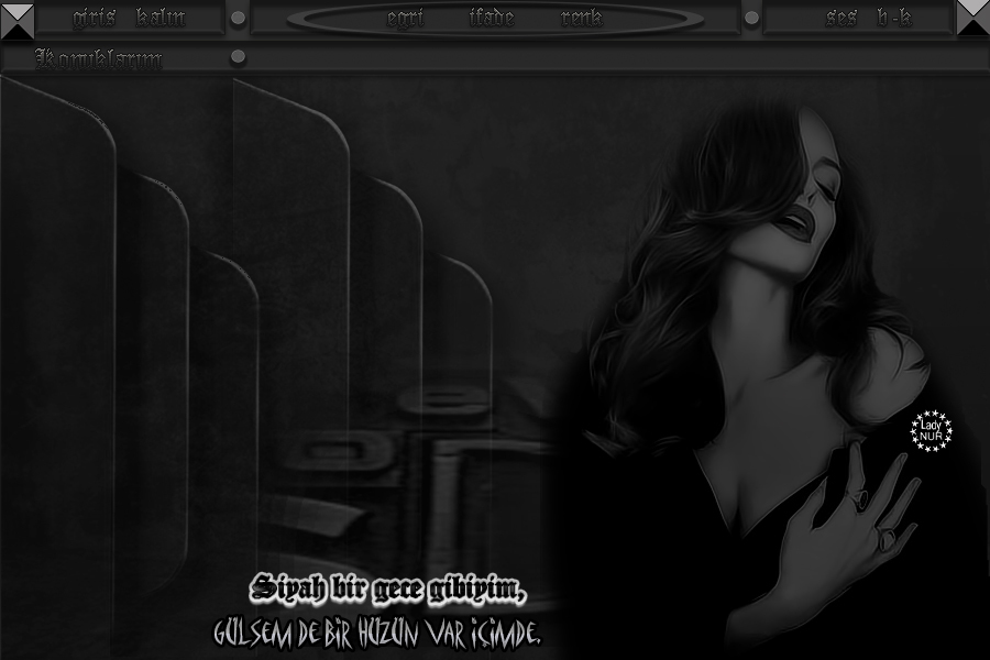 ladynur-siyahbirgece1nk4x.jpg