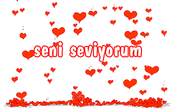 seni-seviyorum-harekeoykdw.gif