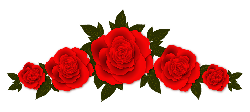 flatkolik-temalik-kirmizi-gul-png-resimler-6.png