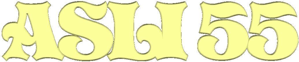 asli-55-platin.gif