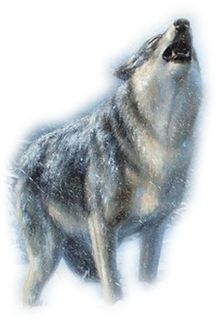 png-kurt-resimleri-2.png