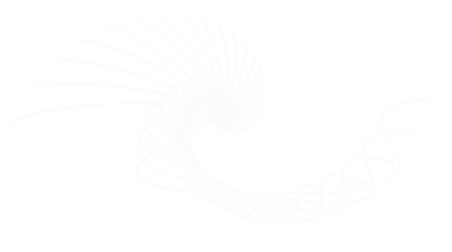 dekor_png_2_82.png
