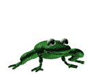 hareketli-kurbaga-resimleri-2.gif