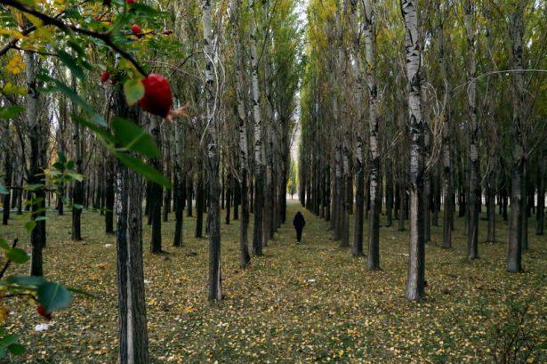 turkiyede_muhtesem_sonbahar_1414225161_9779.jpg