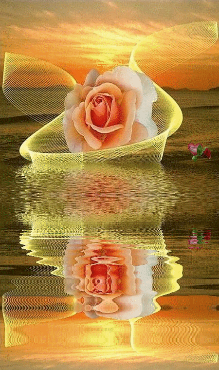 d691b56a9wopl.gif