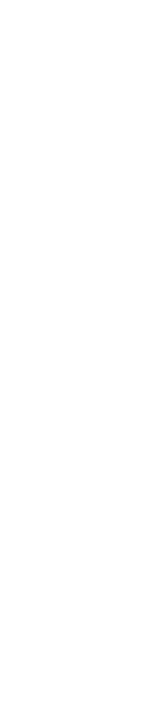 dekor_png_2_567.png