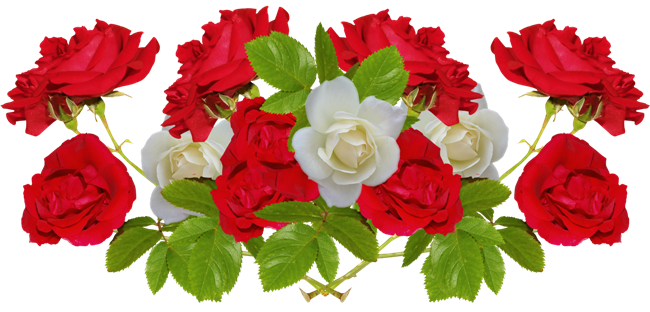 cicek_png_68.png