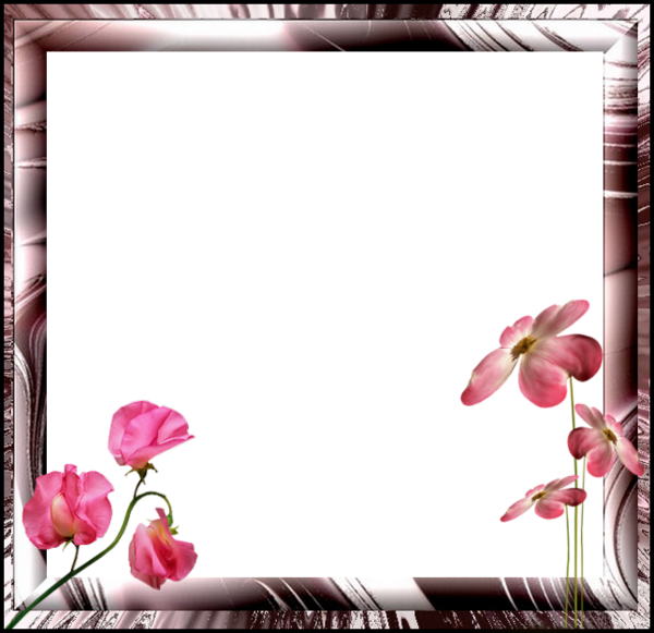 frame_134.png