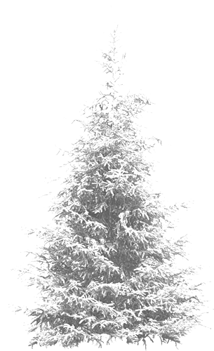 0_157ce7_3921c65c_xxxn9uo2.png