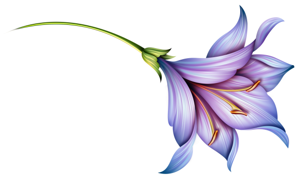 cicek_png_4.png