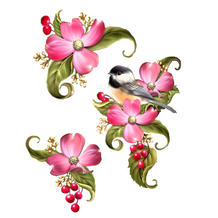 cicek_png_90.png