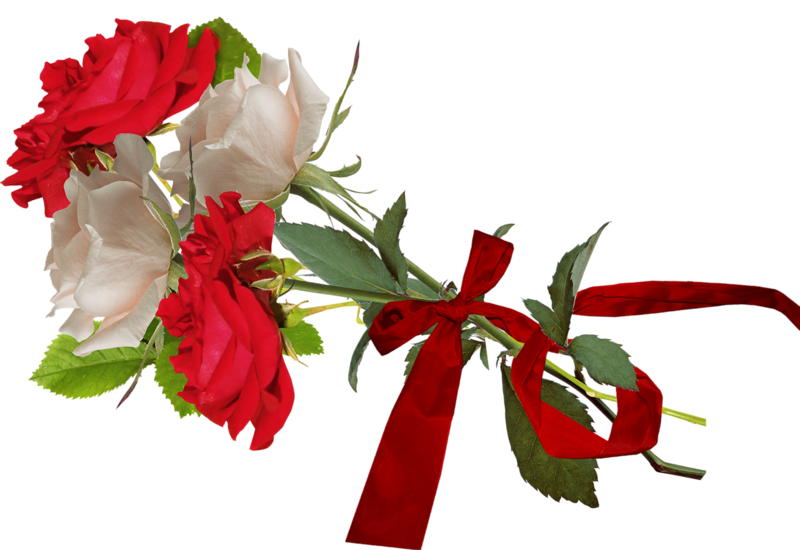 cicek_png_61.png