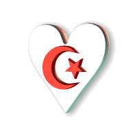turkiye-bayrak-ve-ataturk-gifleri-13.gif