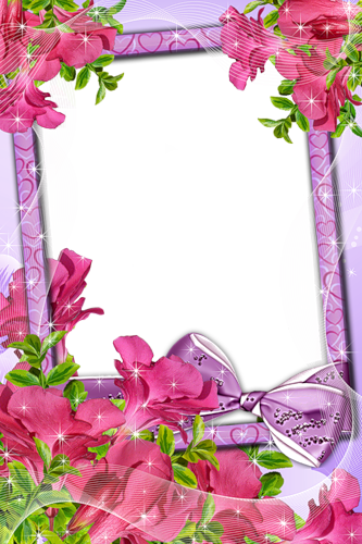 frame_73.png
