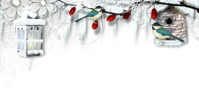 0_157cef_b45af684_xxxj0u8v.png