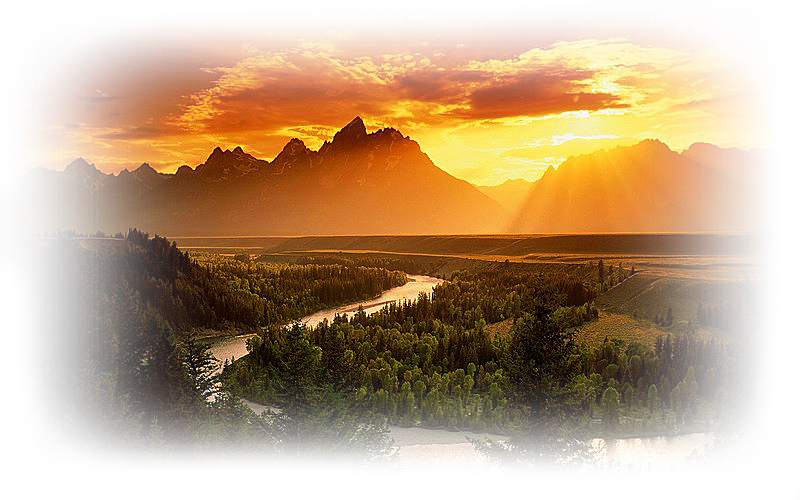 0_11d394_f3af3504_x5lt4p29.png