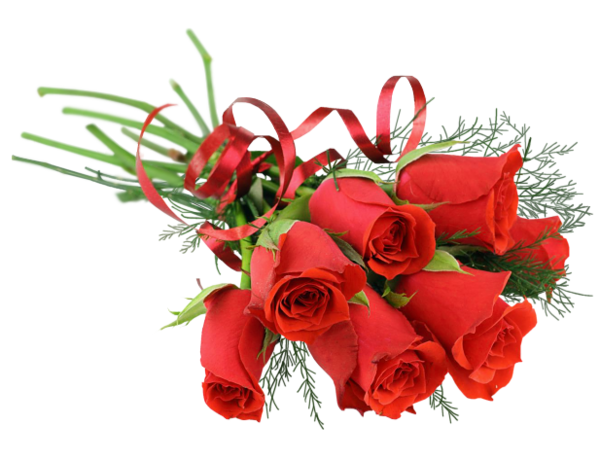 flatkolik-temalik-kirmizi-gul-png-resimler-12.png