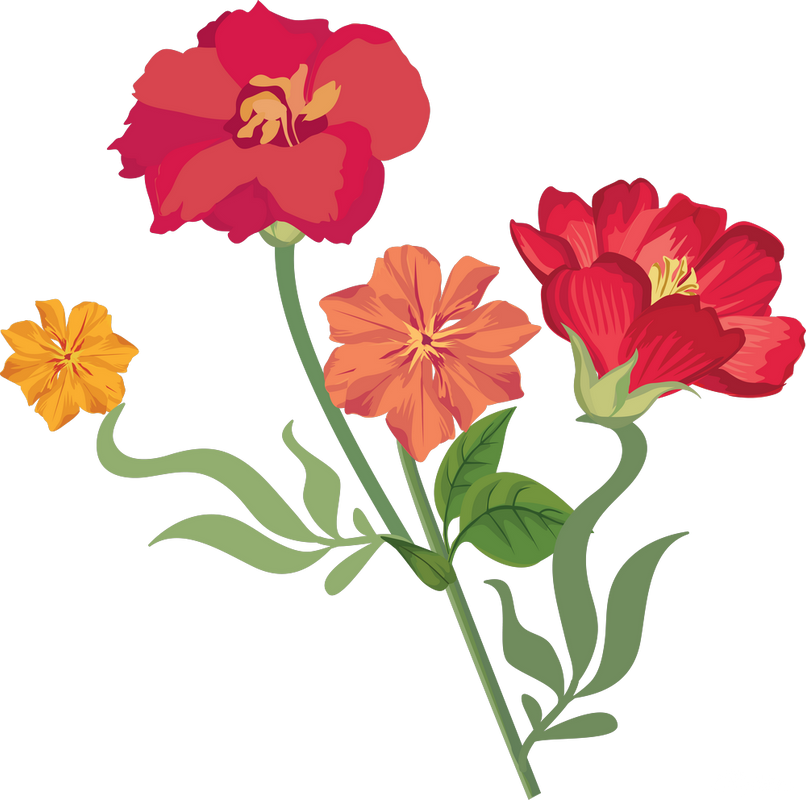 cicek-png-resimleri-6.png
