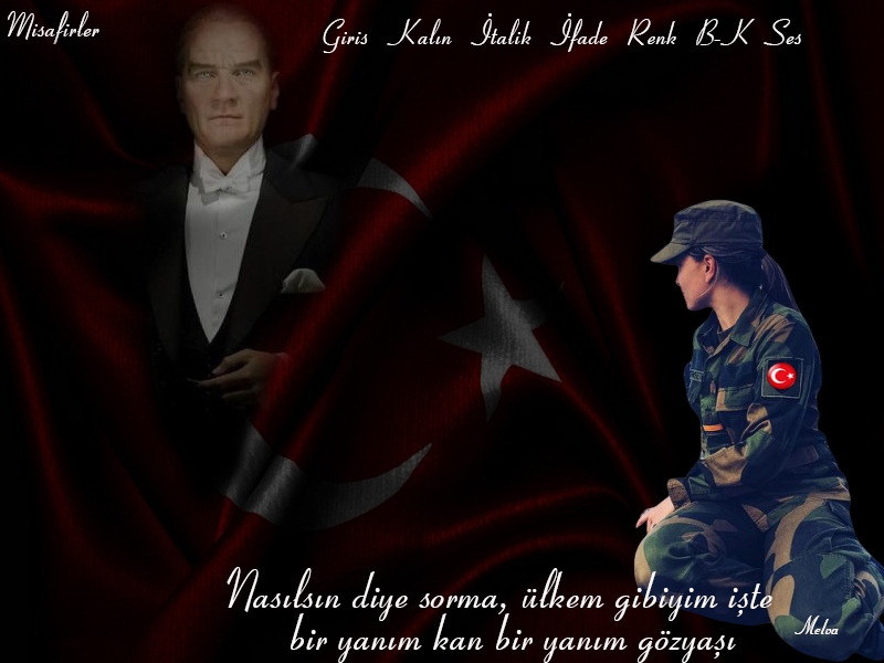 bayraklgzyavyk42.jpg