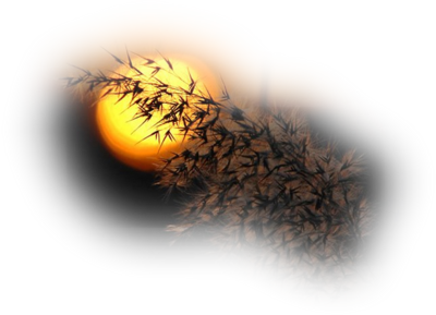 1e61f8f1a0s60.png