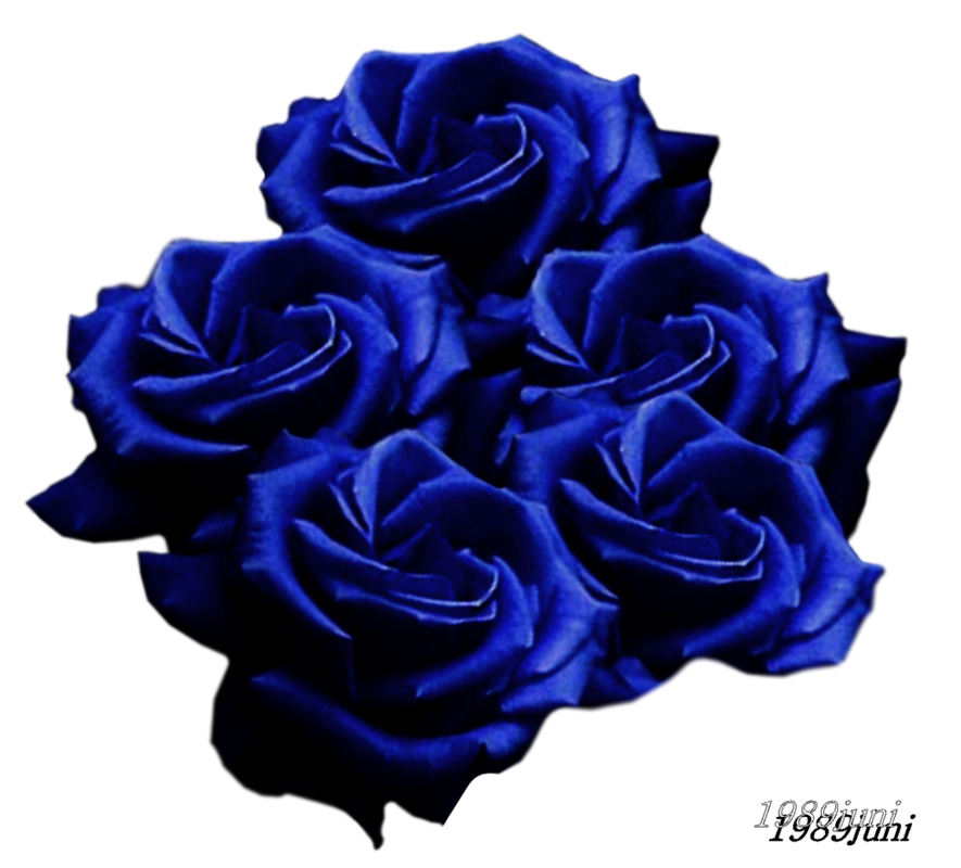 png-mavi-gul-resimleri-2154.png