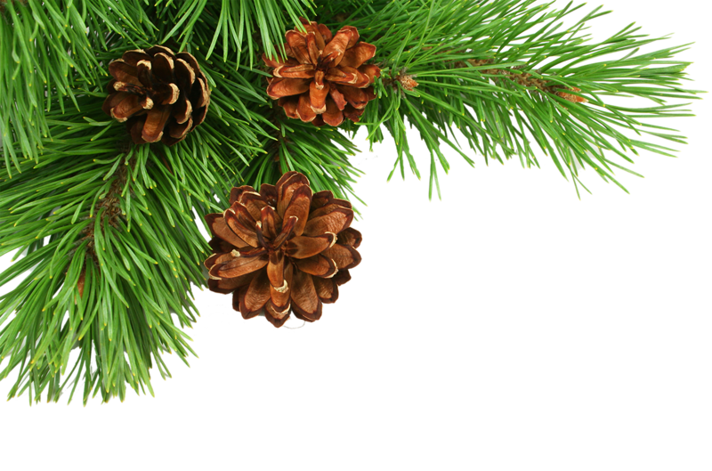 0_15d77e_4b395667_xxxr7si9.png