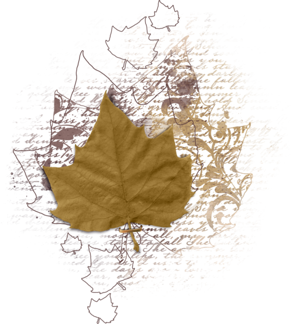 renkli-png-yaprak-resimleri-agac-yaprak-resimleri-flatkolik-8.png