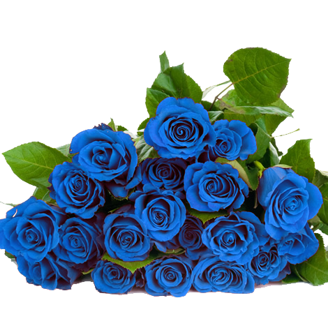 png-mavi-gul-resimleri-25.png
