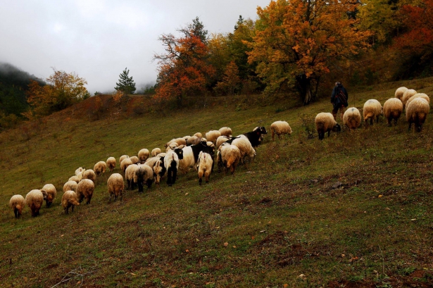 turkiyede_muhtesem_sonbahar_1414399553_0659.jpg