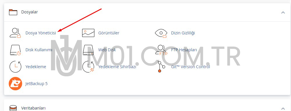 cpanel-flatcast-index40cac.jpg