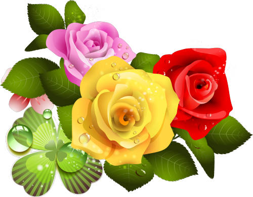 cicek-png-resimleri-16.png