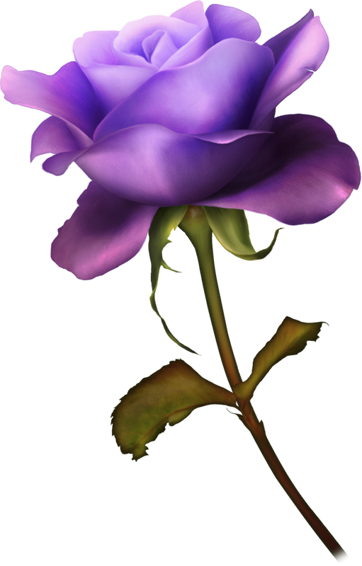 cicek_png_2.png