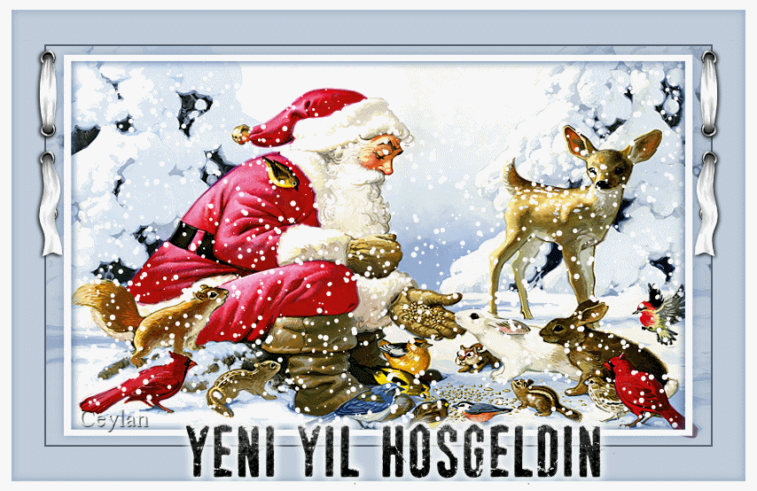 ceylan4undhw.gif