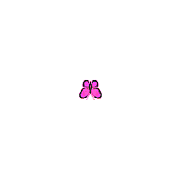 butterfly-pinkgifforw04sjr.gif