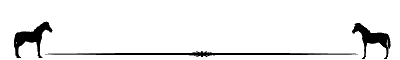 tema-ve-indexler-icin-ayirac-gifler-flatkolik-10.gif