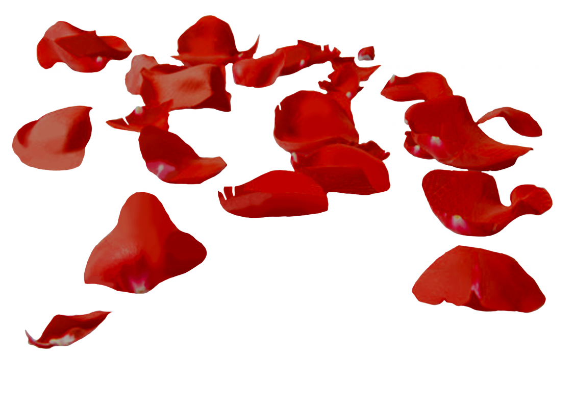 flatkolik-kirmizi-gul-yapraklari-png-resimleri-2.png