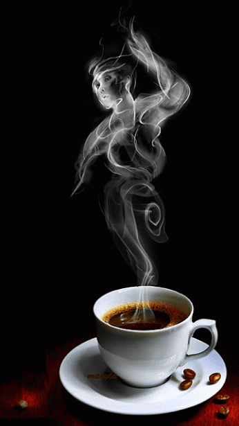 4fd8161e9527734a65a2bg8yp3.gif