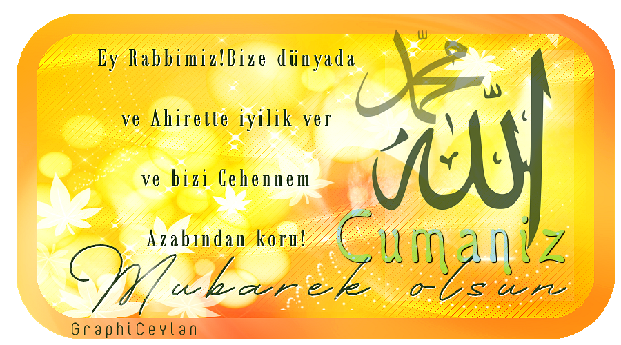 ceylaanwnhkk31.png