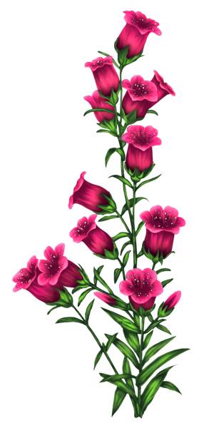 cicek_png_10.png