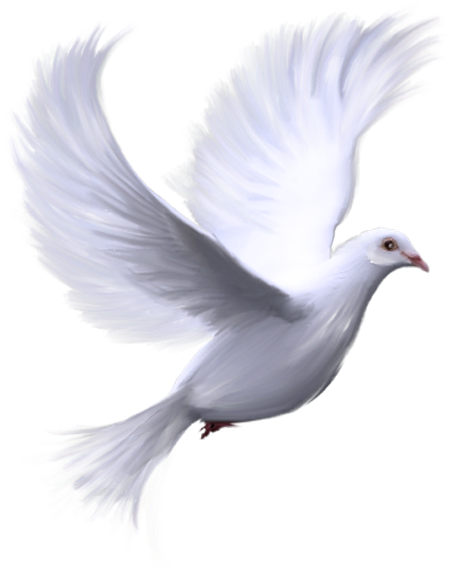png-kus-resimleri-flatkolik-15.png