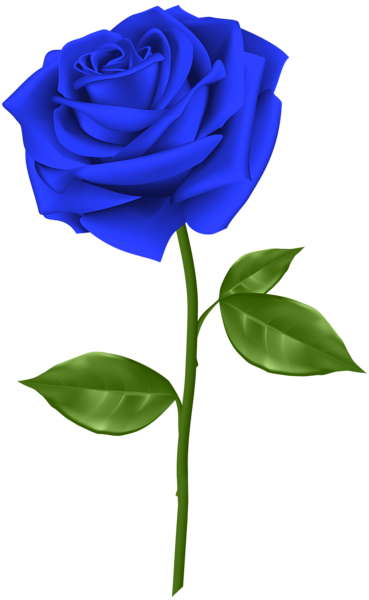 png-mavi-gul-resimleri-1.png
