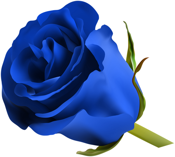 png-mavi-gul-resimleri-6.png